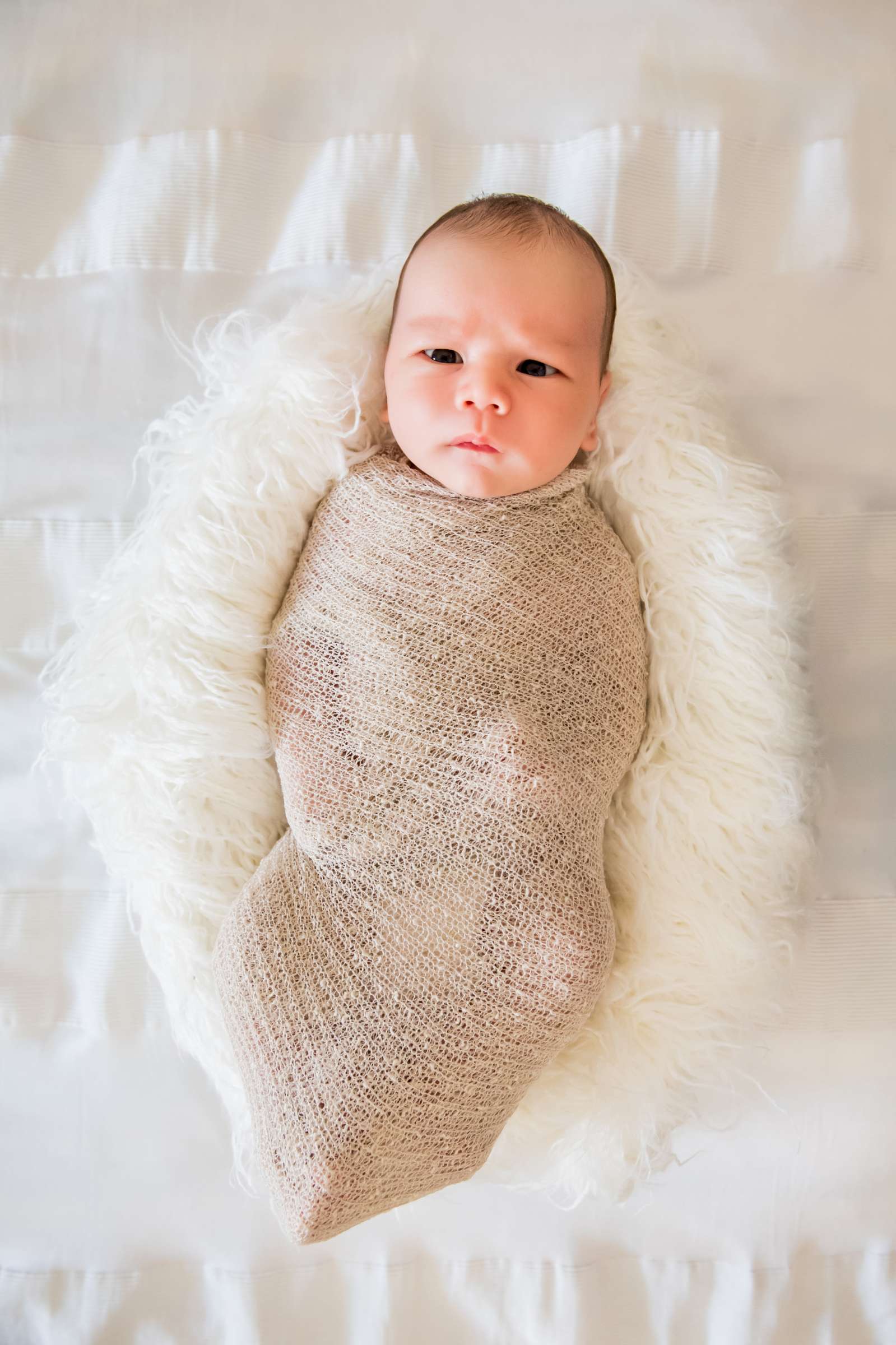 Newborn Photo Session, Jeanine Kolinko Newborn Photo #10 by True Photography