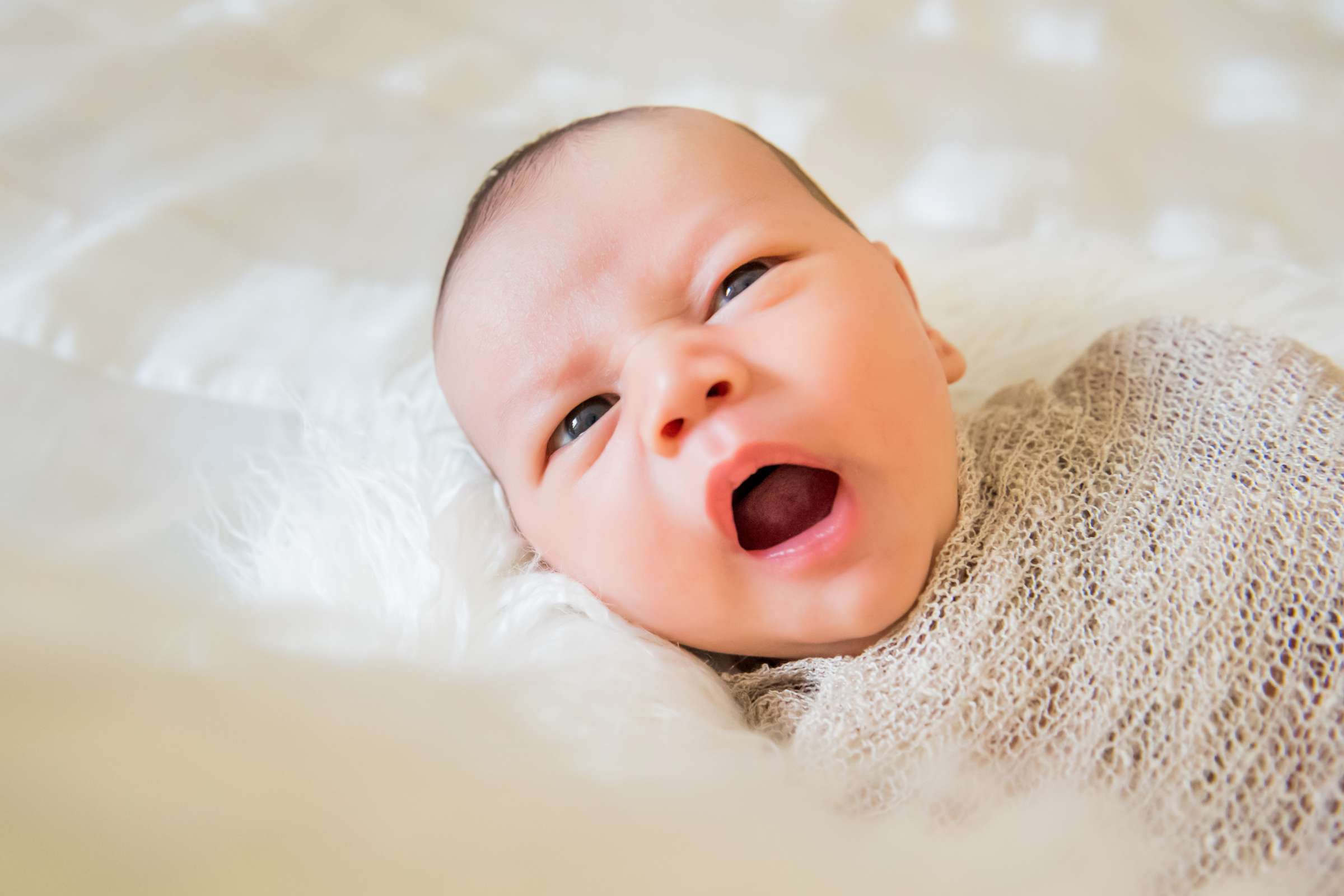 Newborn Photo Session, Jeanine Kolinko Newborn Photo #16 by True Photography