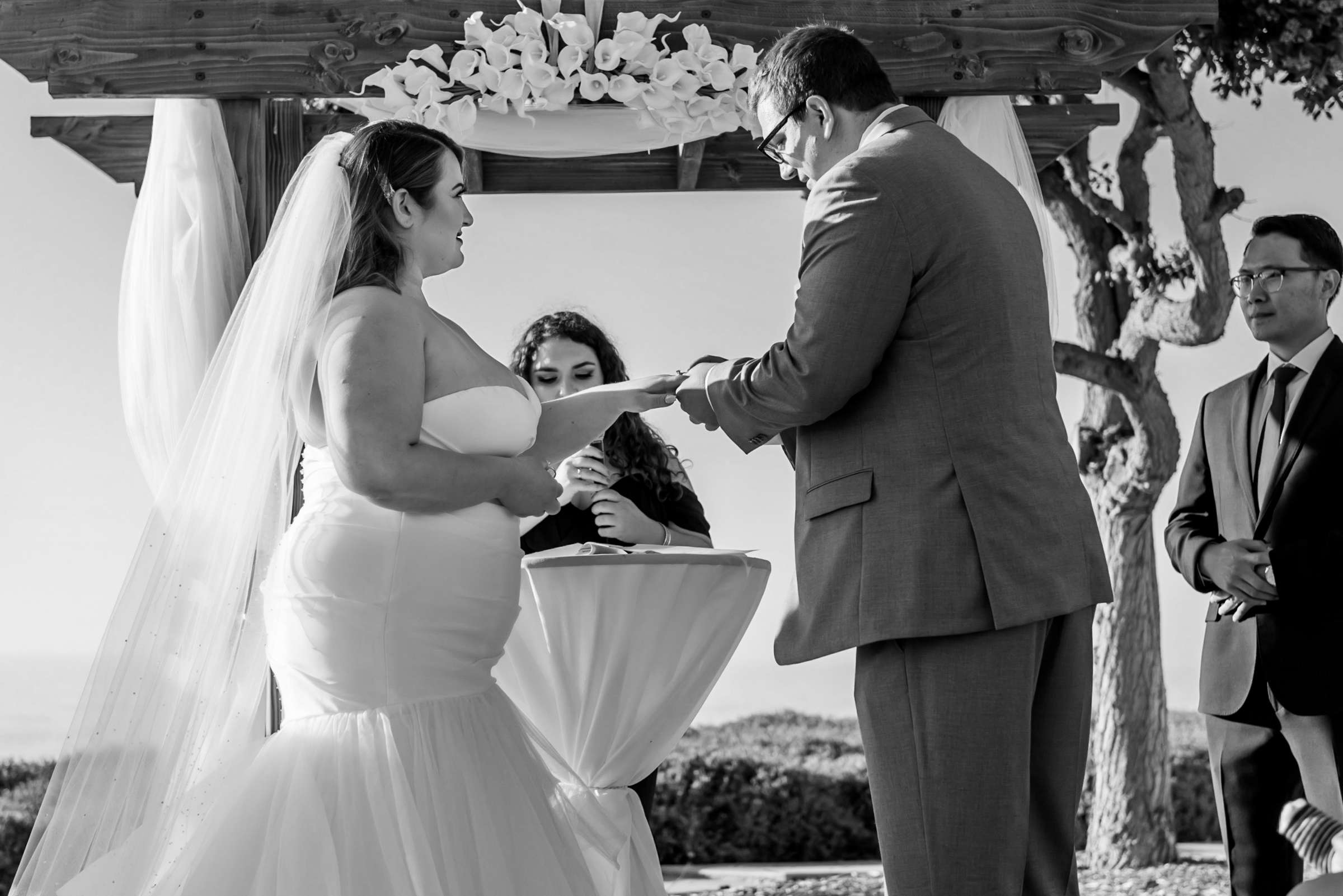 Wedding, Talia and Mike Wedding Photo #57 by True Photography