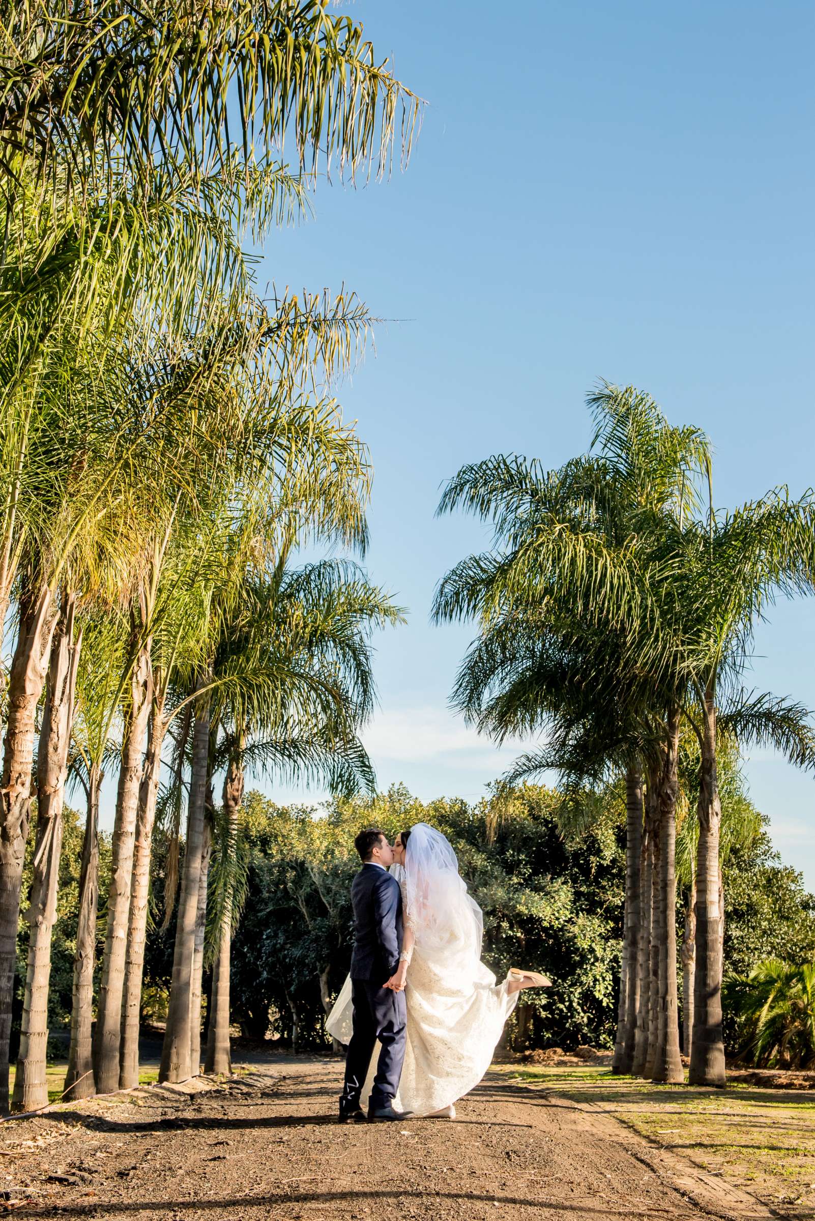Botanica the Venue Wedding coordinated by Peachy Keen Weddings, Courtney and Roman Wedding Photo #49 by True Photography