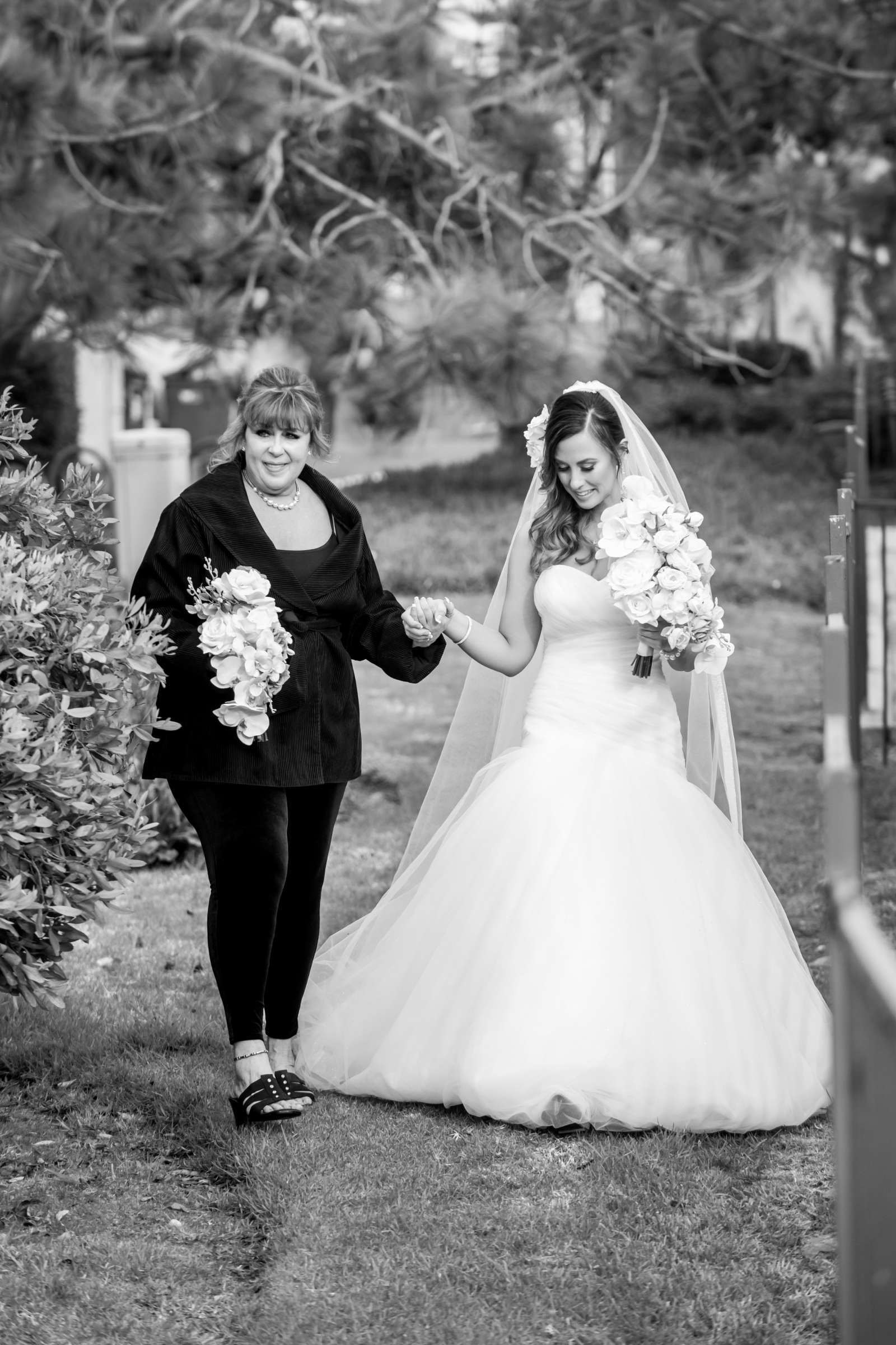 Seagrove Park Wedding, Sara and Lenny Wedding Photo #598122 by True Photography
