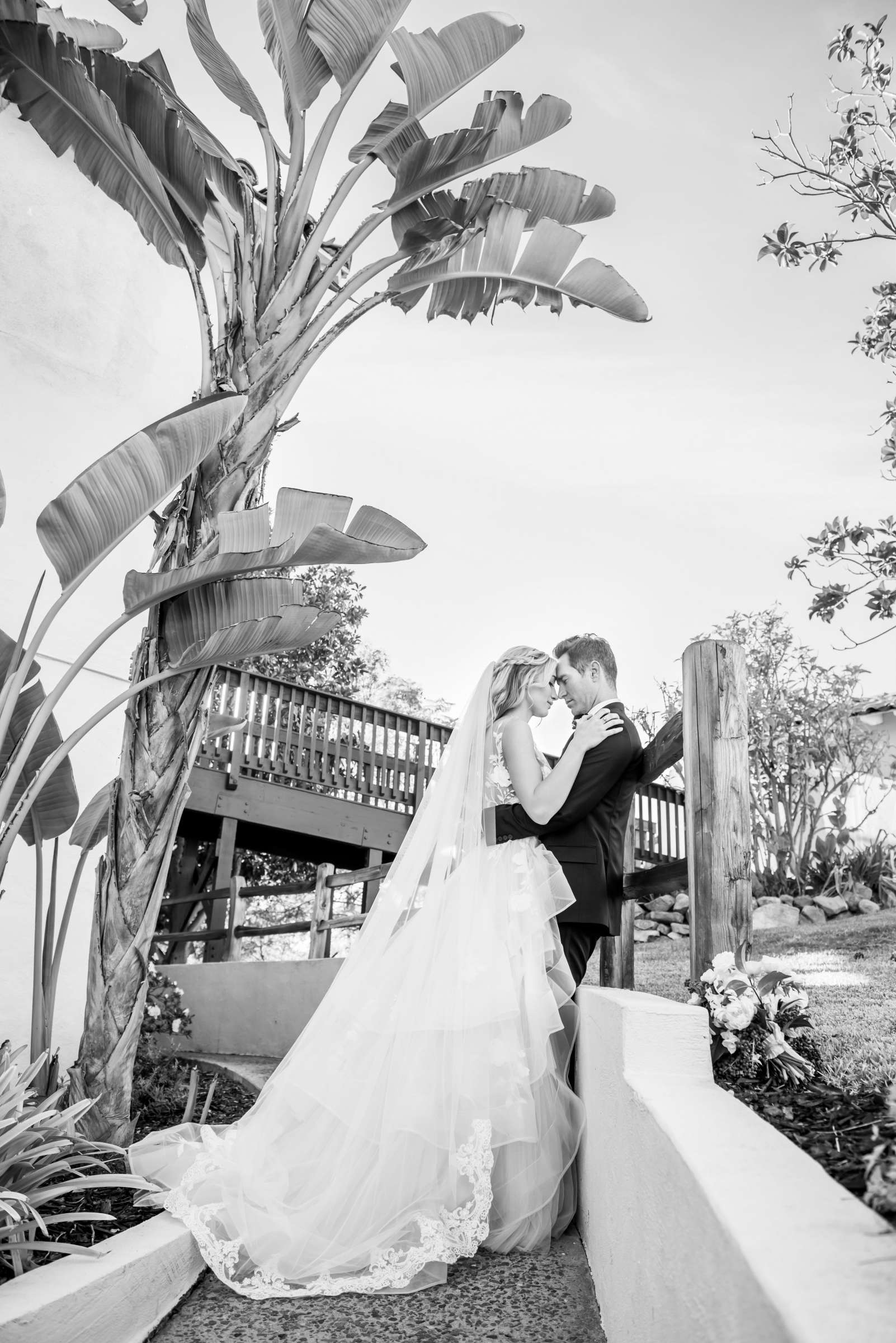 The Inn at Rancho Santa Fe Wedding coordinated by Lace and Champagne, Cindy and Evo Wedding Photo #28 by True Photography