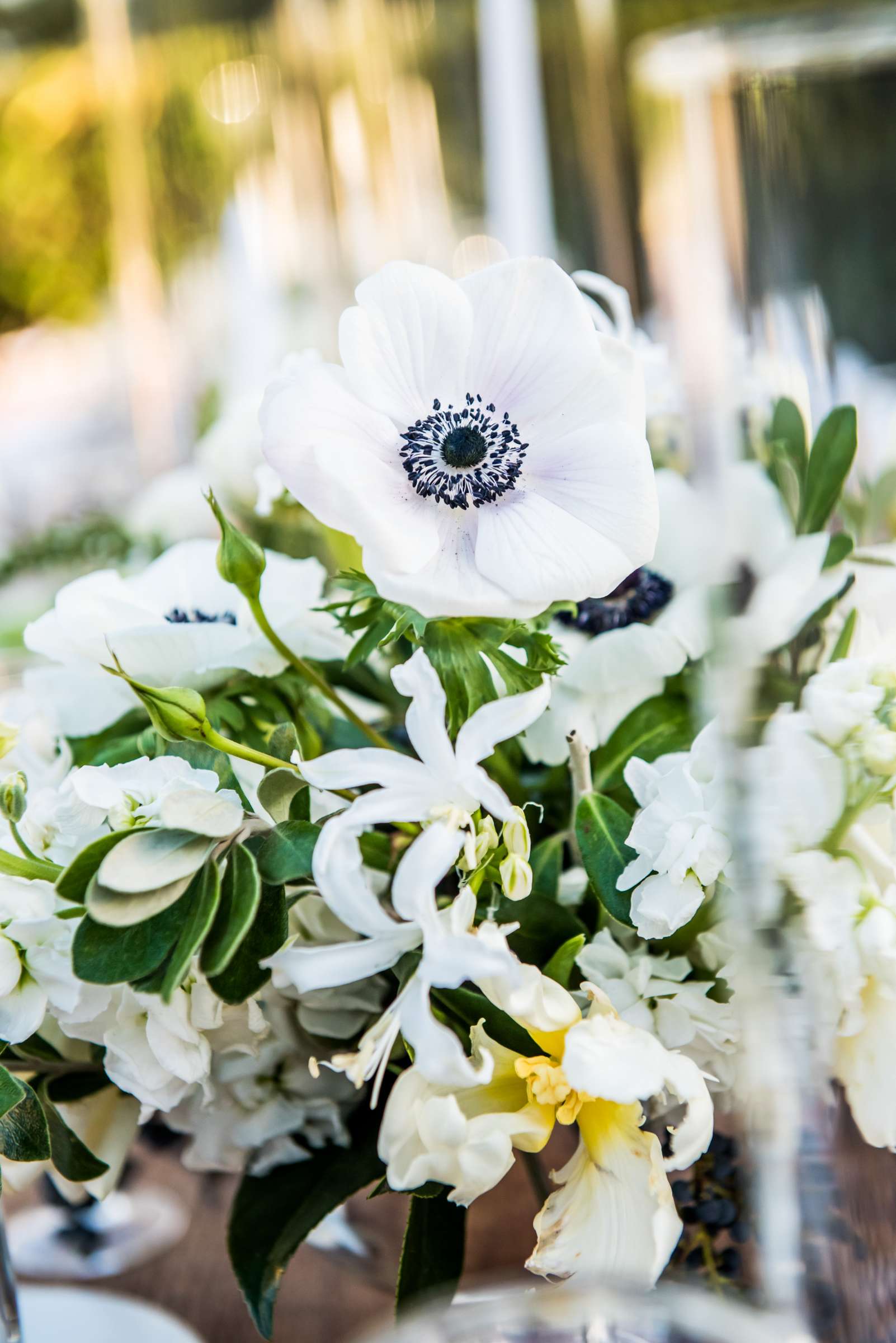 The Inn at Rancho Santa Fe Wedding coordinated by Lace and Champagne, Cindy and Evo Wedding Photo #171 by True Photography