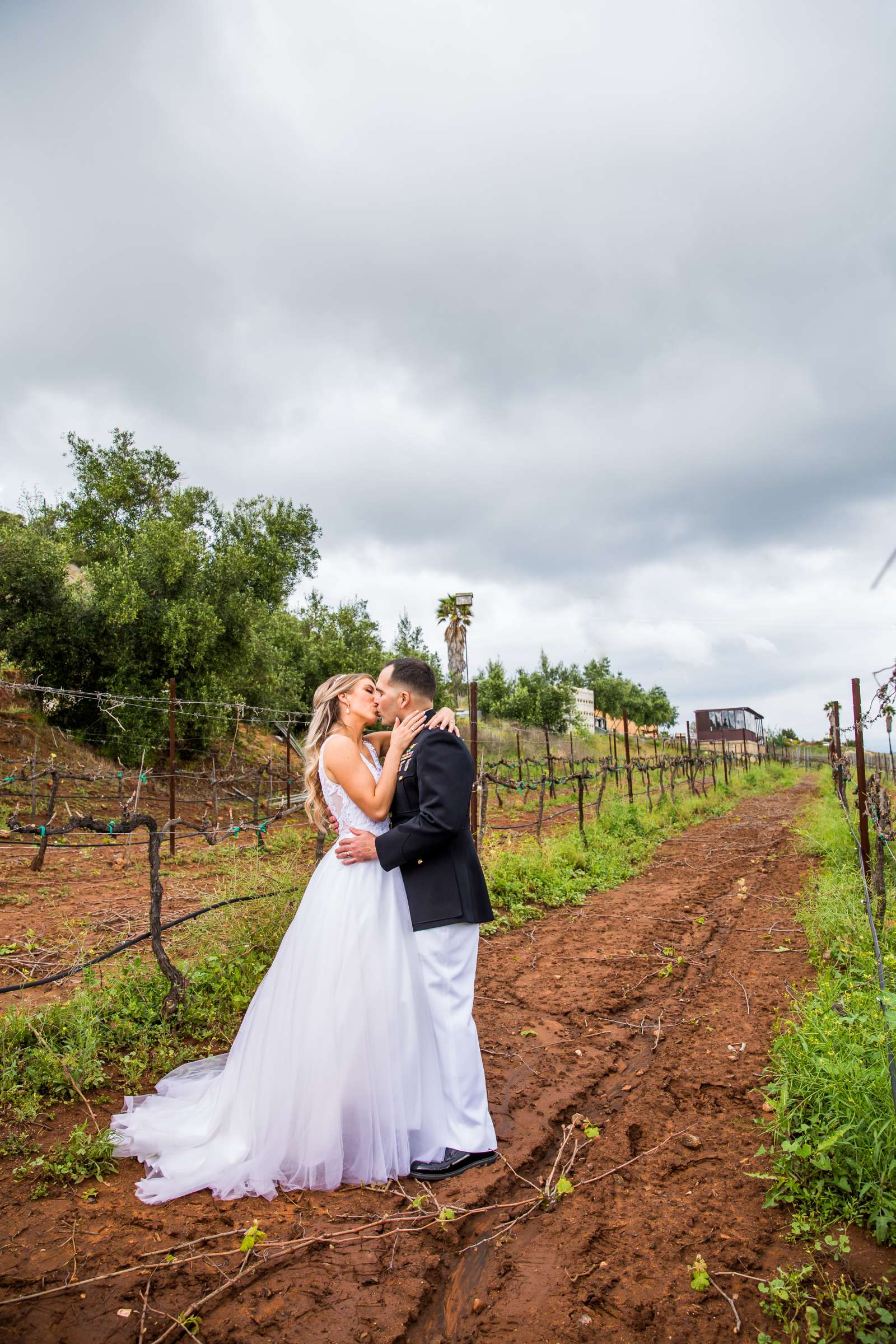 Cordiano Winery Wedding coordinated by Sisti & Co, Julia and Gabe Wedding Photo #85 by True Photography