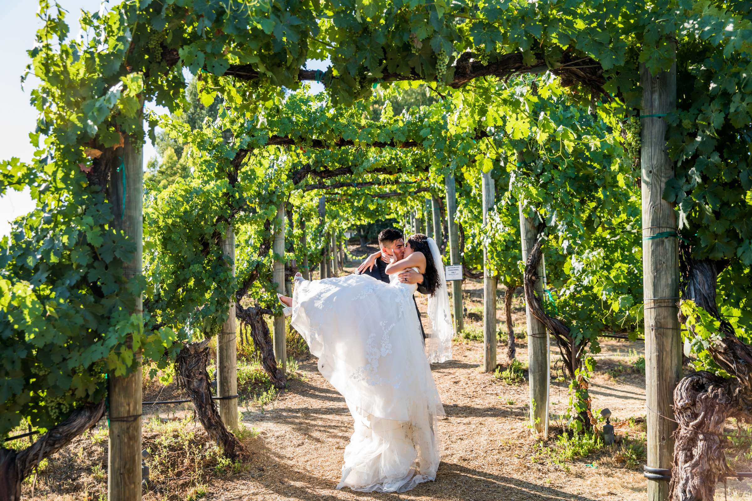Wilson Creek Winery Wedding coordinated by Grace and Gold Events, Kaylina and Kylie Wedding Photo #31 by True Photography