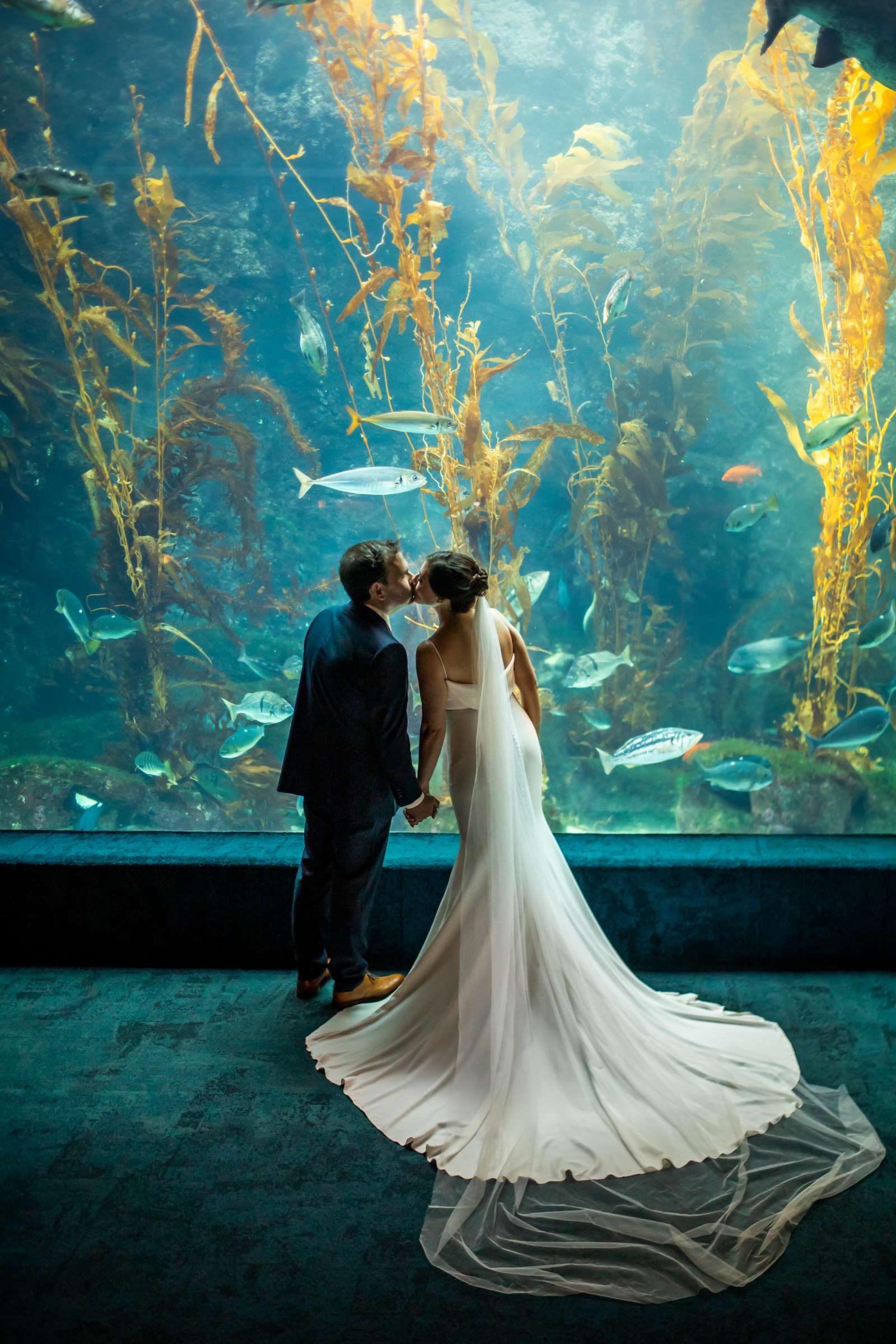 Birch Aquarium at Scripps Wedding, Susie and Bryan Wedding Photo #703154 by True Photography
