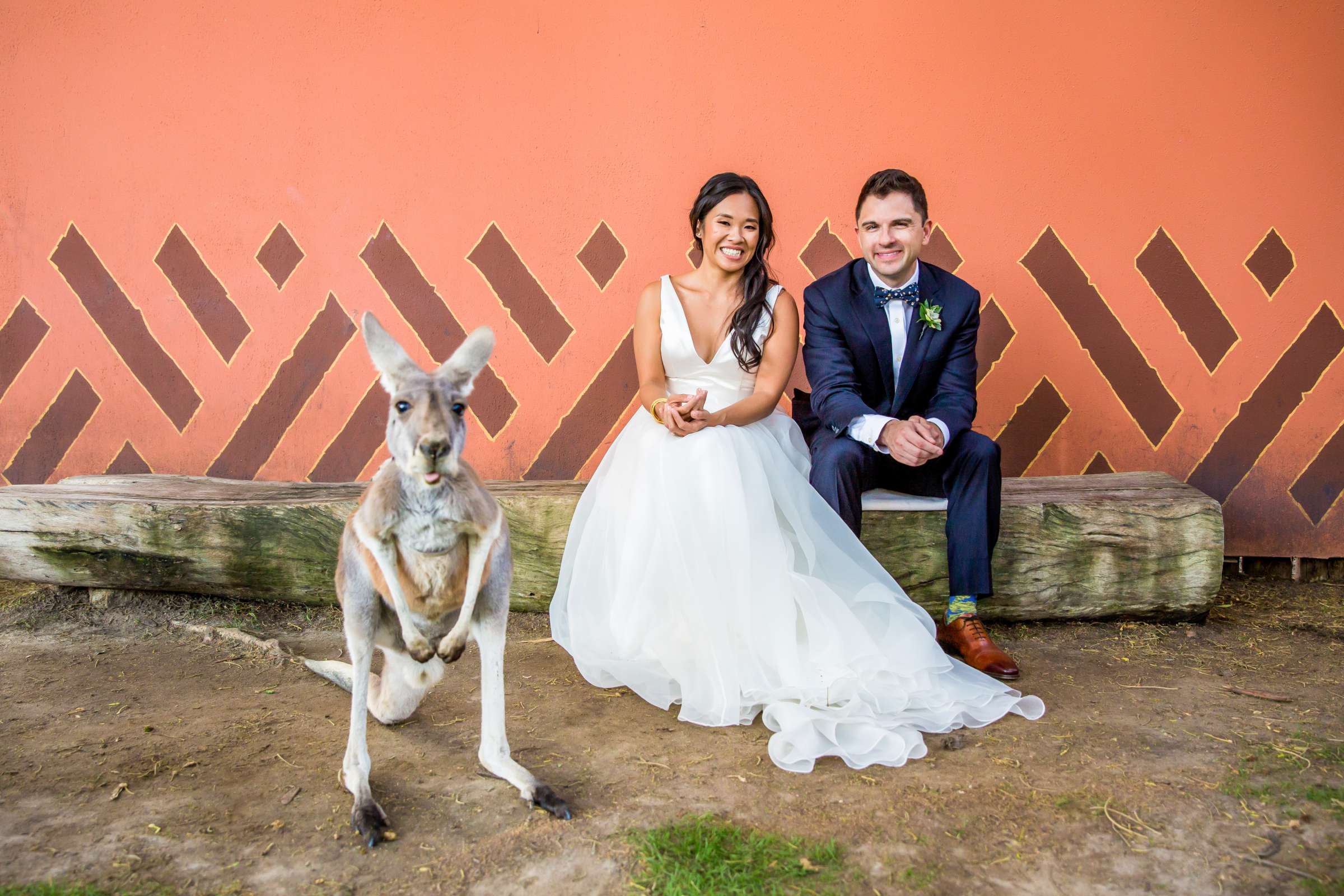 Safari Park Wedding, Evangelina and Ross Wedding Photo #16 by True Photography