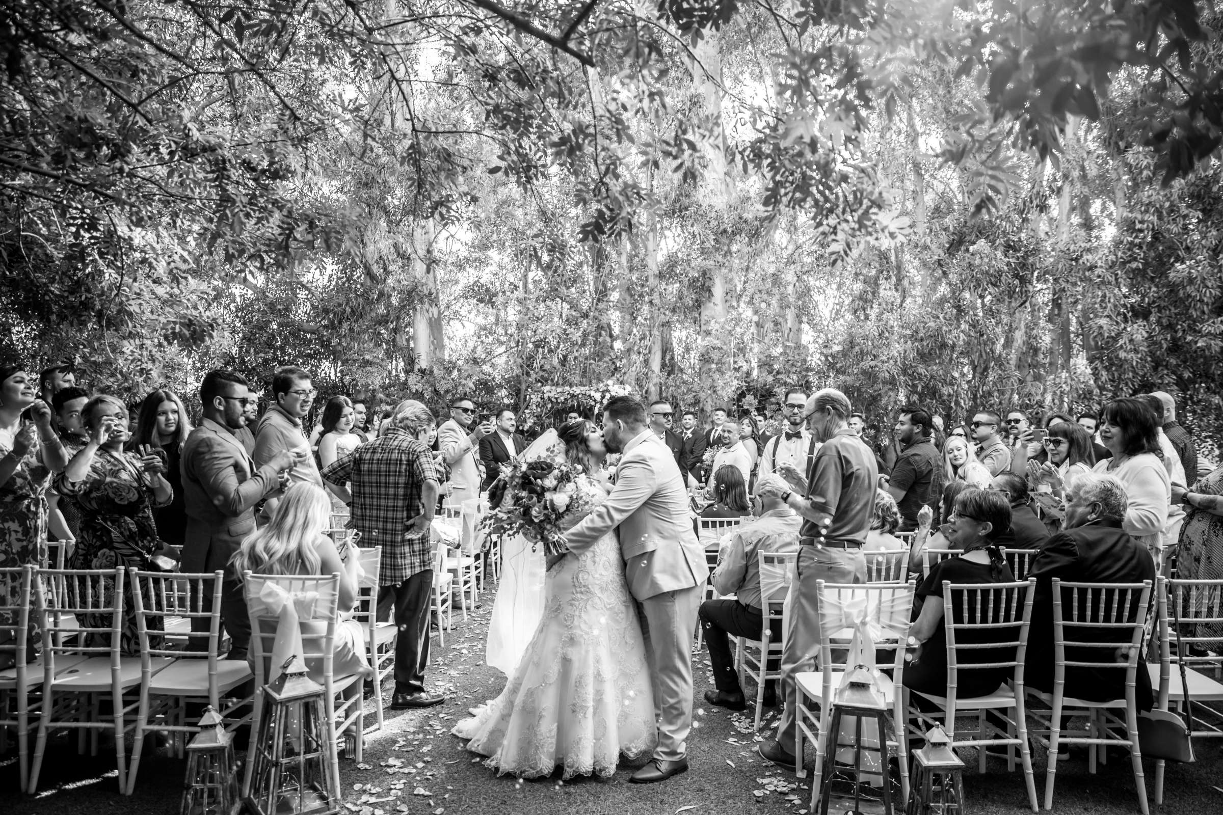 Twin Oaks House & Gardens Wedding Estate Wedding, Bernadette and Douglas Wedding Photo #640978 by True Photography