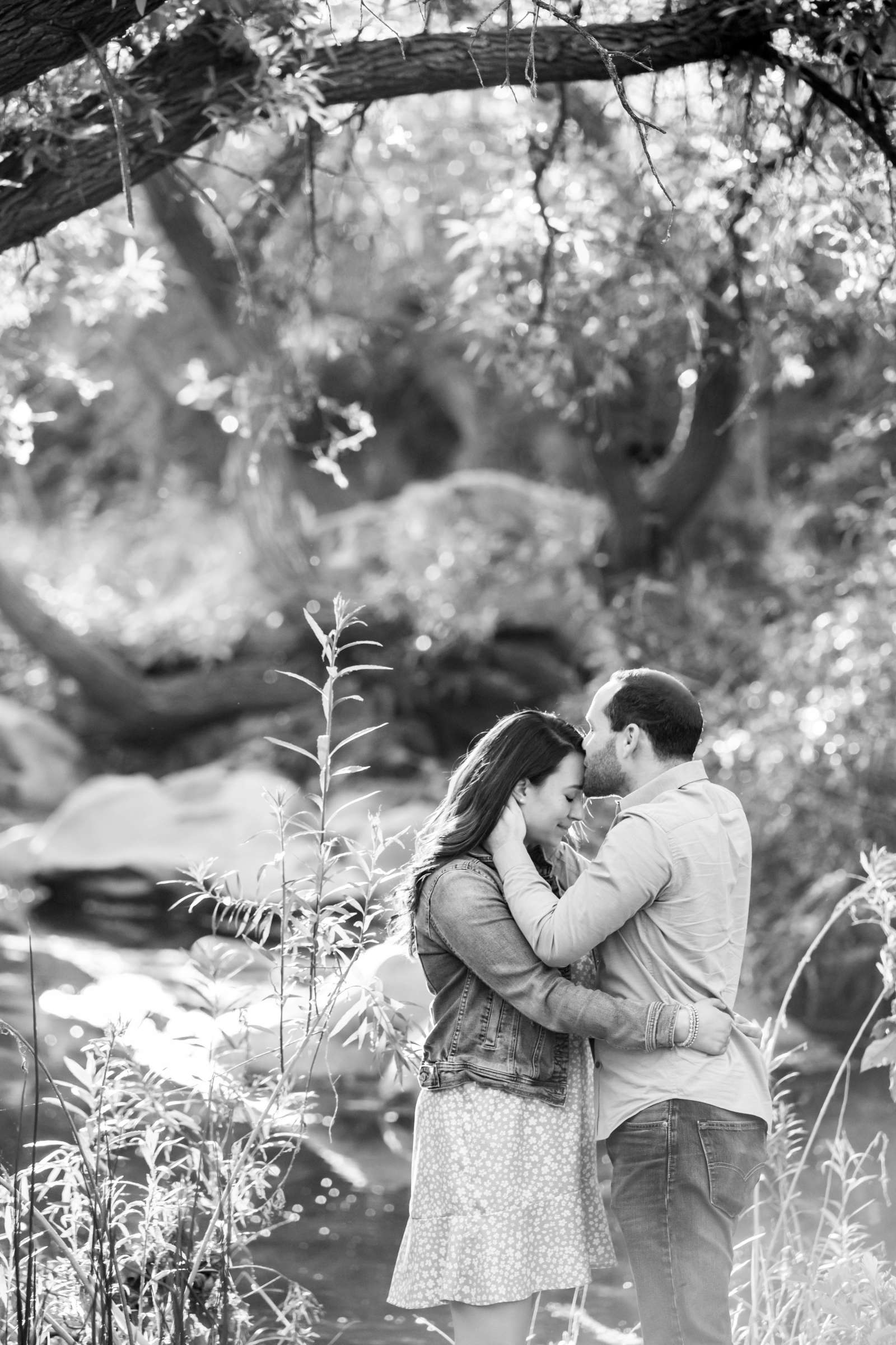 Engagement, Elena and David Engagement Photo #4 by True Photography