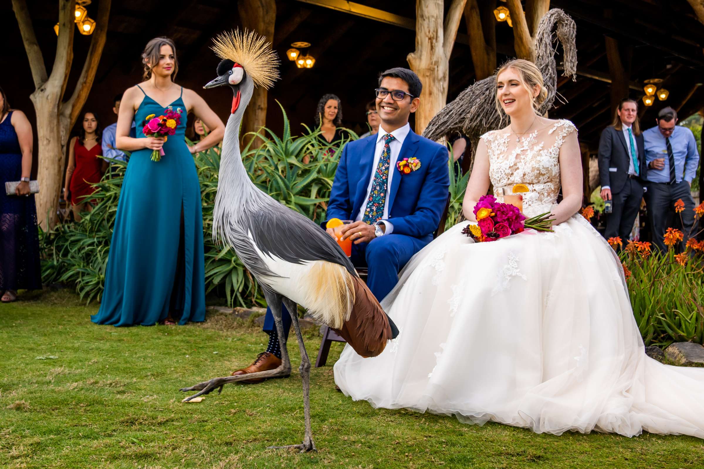 Safari Park Wedding coordinated by Bliss Events, Sarah and Vipin Wedding Photo #638776 by True Photography