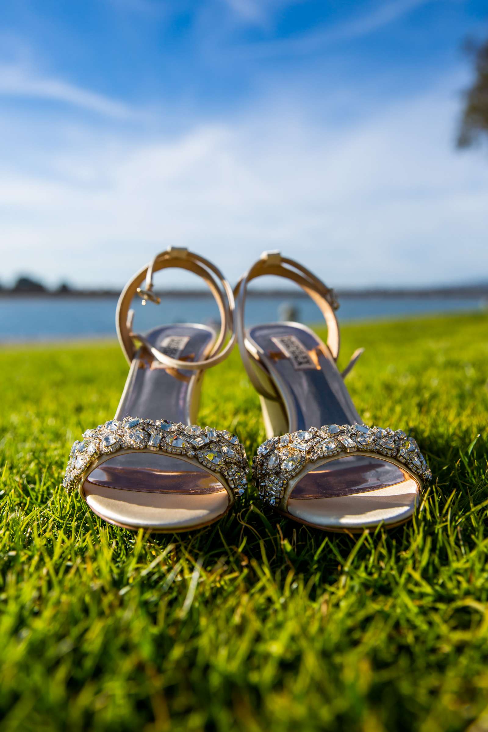 San Diego Mission Bay Resort Wedding coordinated by Elements of Style, Jennifer and Aaron Wedding Photo #622297 by True Photography