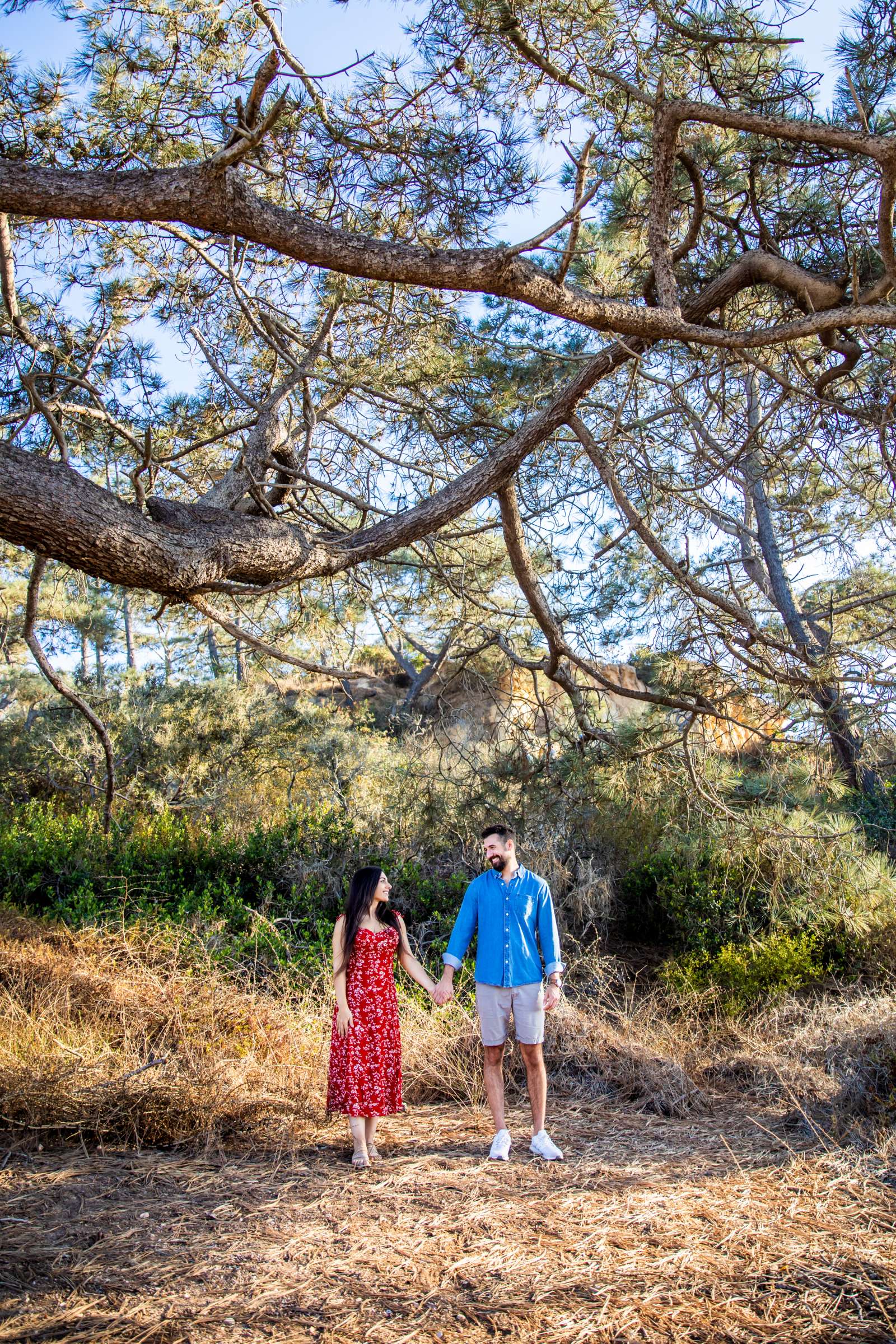 Torrey Pines State Natural Reserve Proposal, Gregory S Proposal Photo #618770 by True Photography
