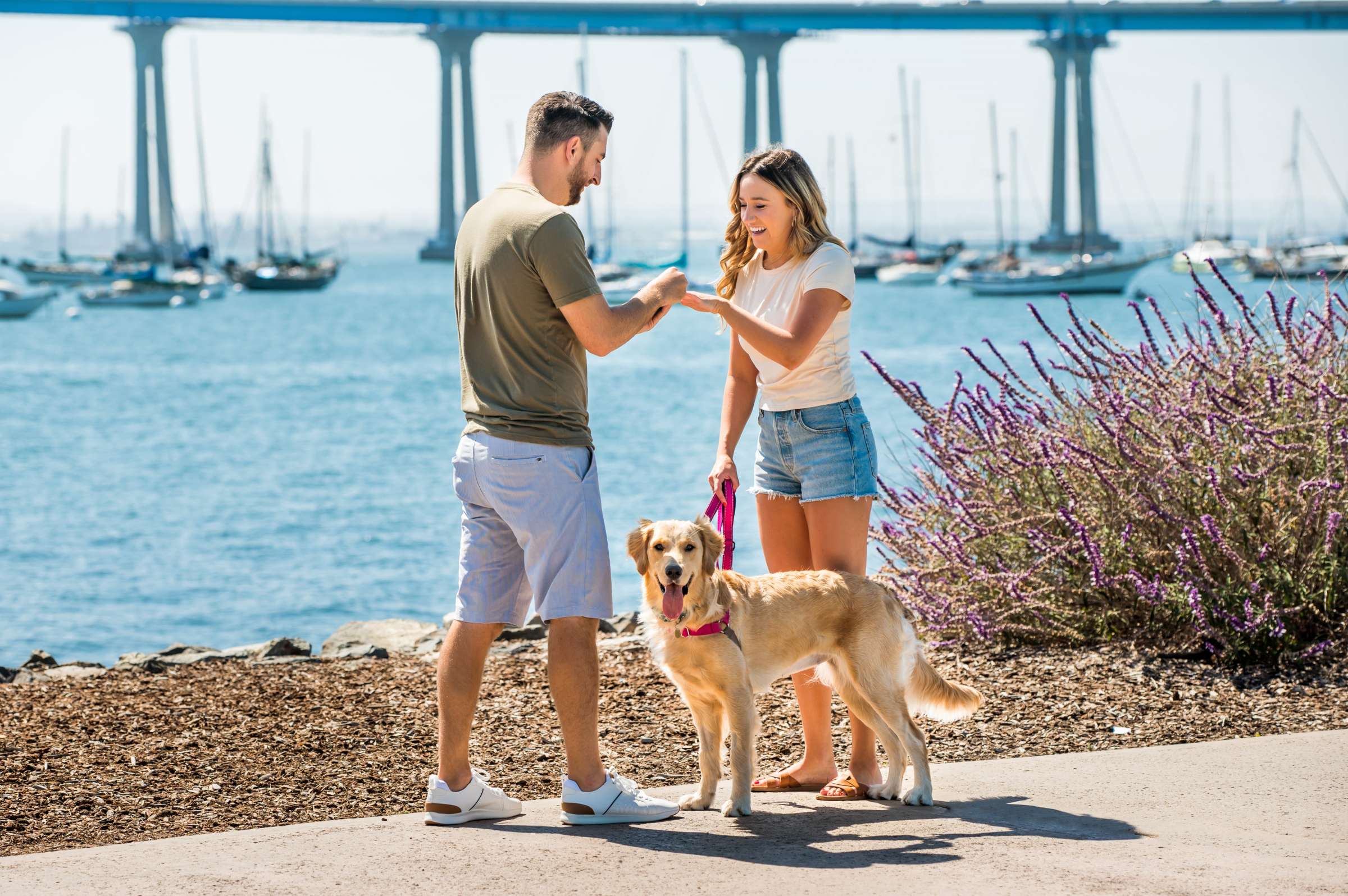 Proposal, Alex and Erin Proposal Photo #13 by True Photography