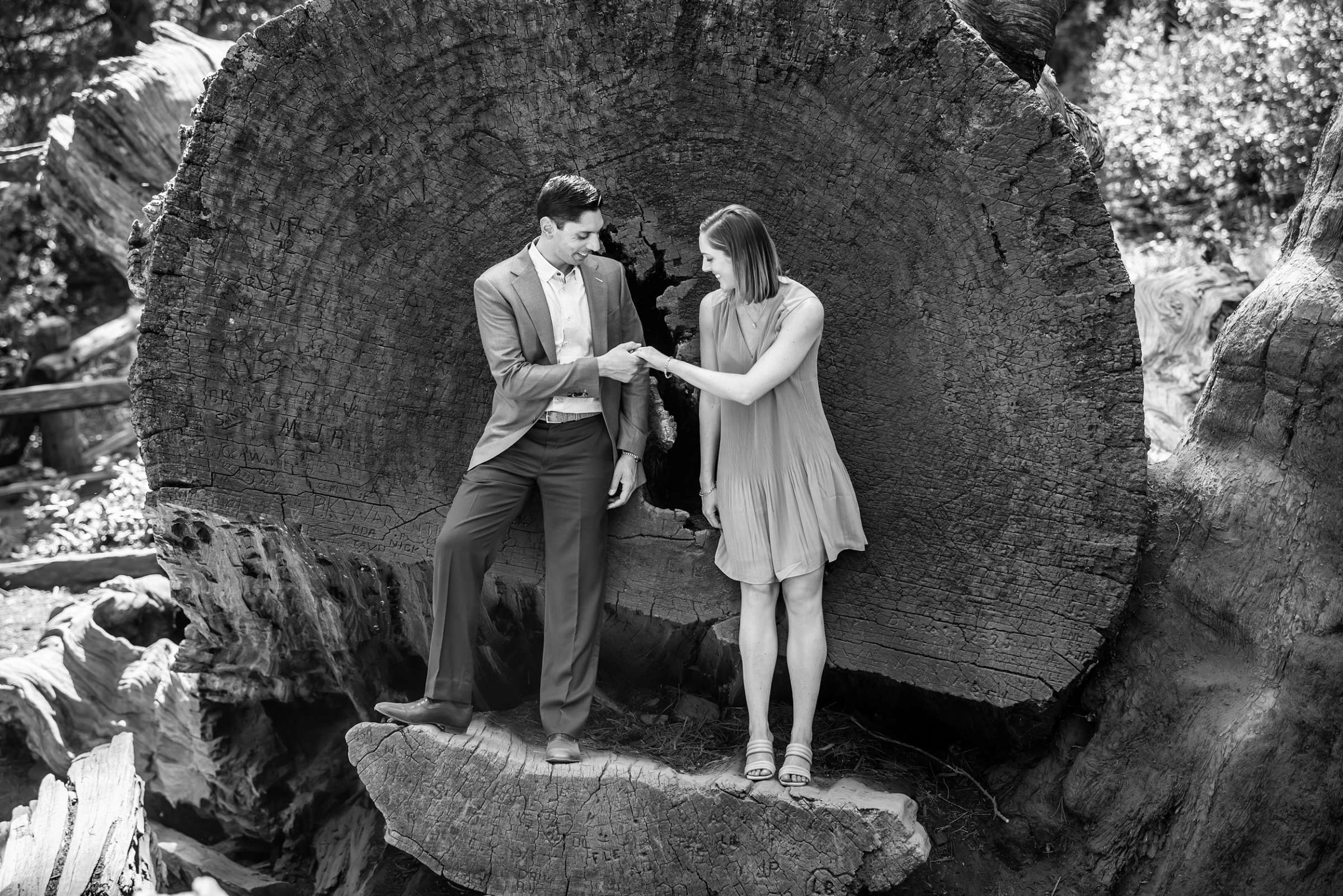 Proposal, Sam and Raj Proposal Photo #12 by True Photography
