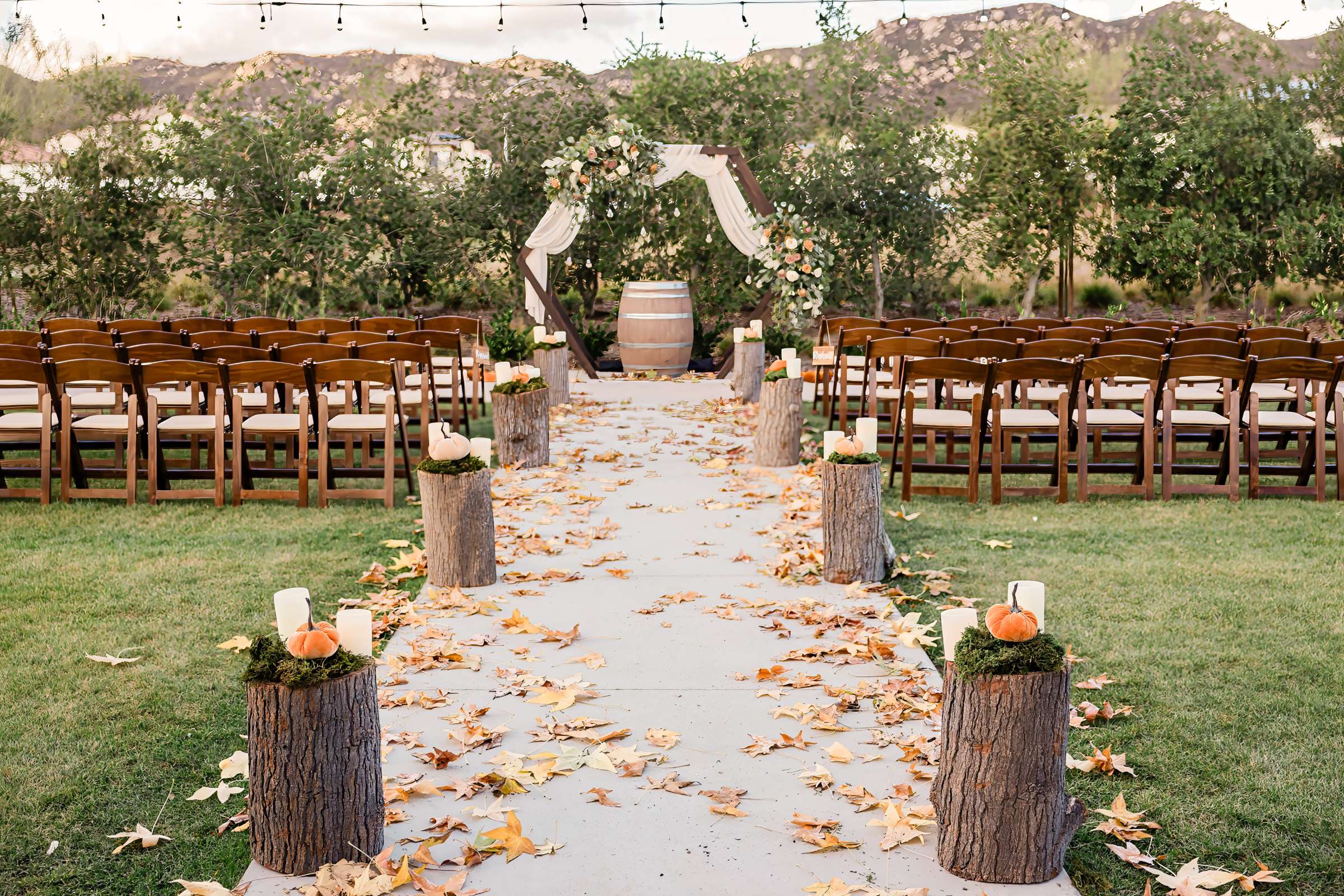 Canopy Grove Wedding, Images 4 Wedding Photo #714223 by True Photography