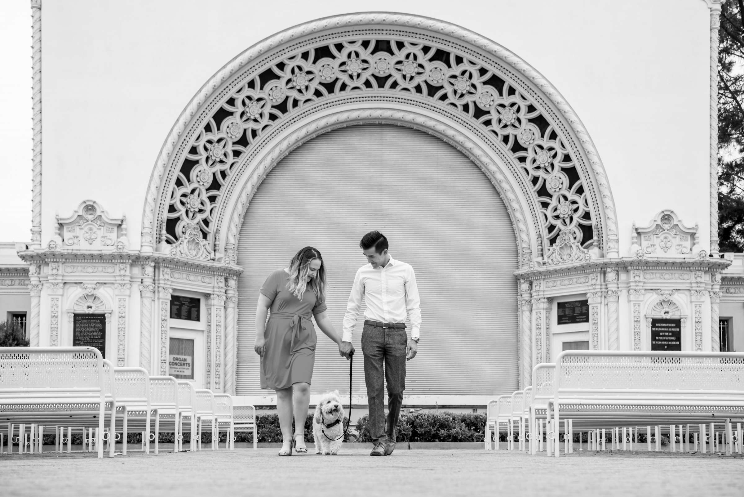 Engagement, Elizabeth and David Engagement Photo #17 by True Photography