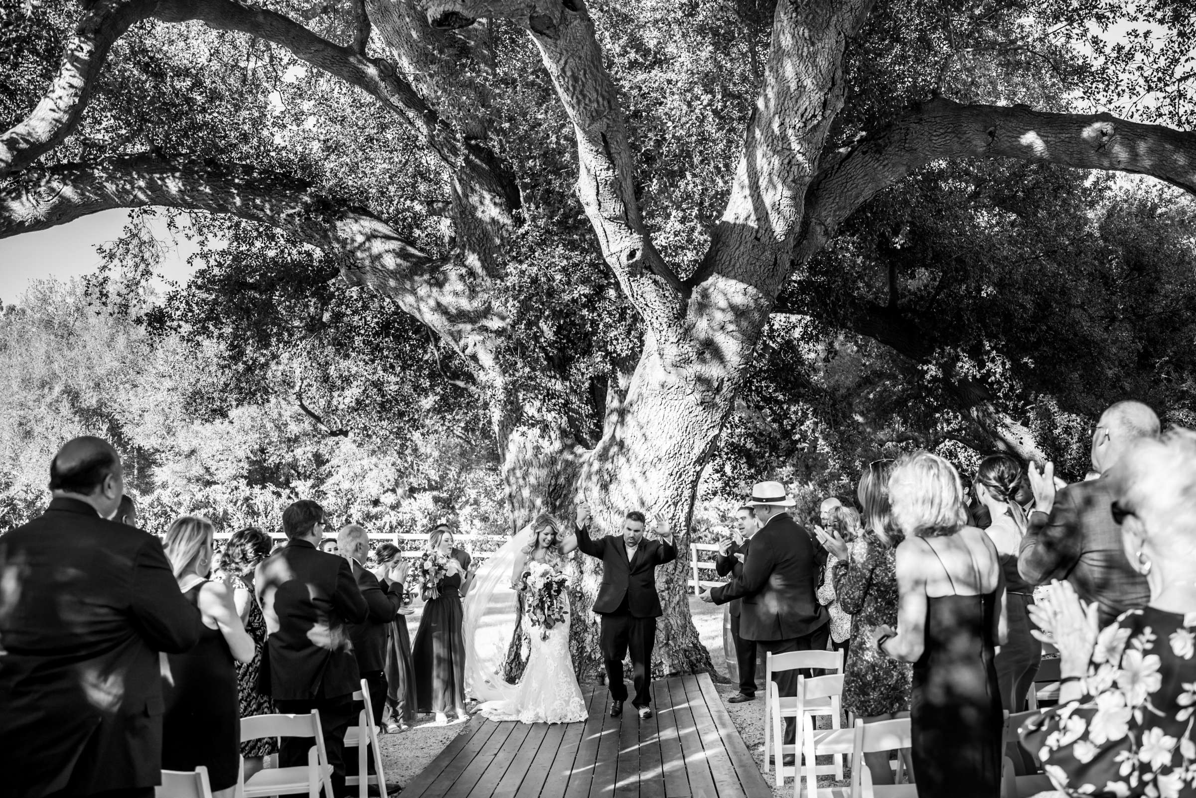 Circle Oak Ranch Weddings Wedding, Victoria and Nate Wedding Photo #70 by True Photography