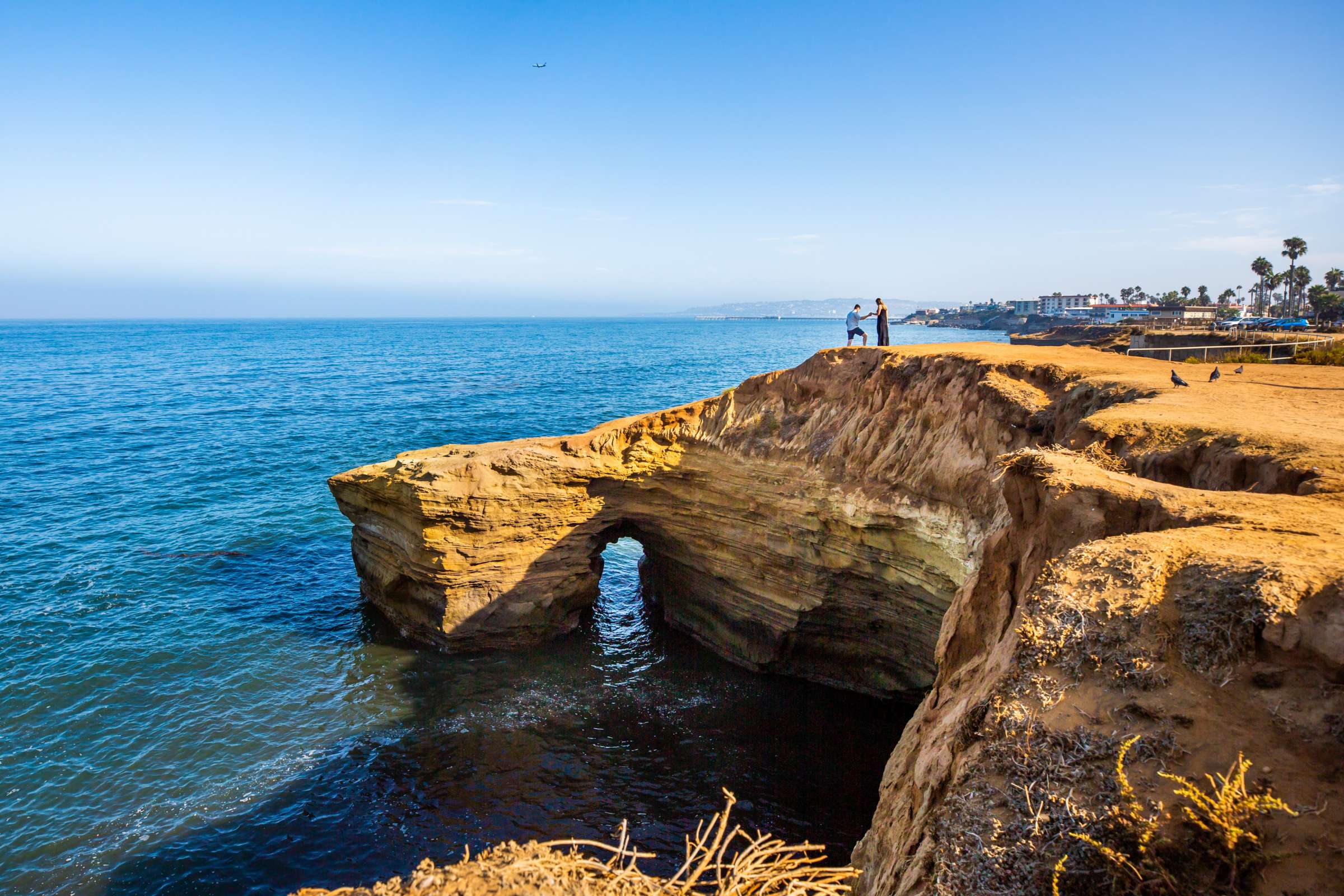 Sunset Cliffs Proposal, Ronnie R Proposal Photo #4 by True Photography