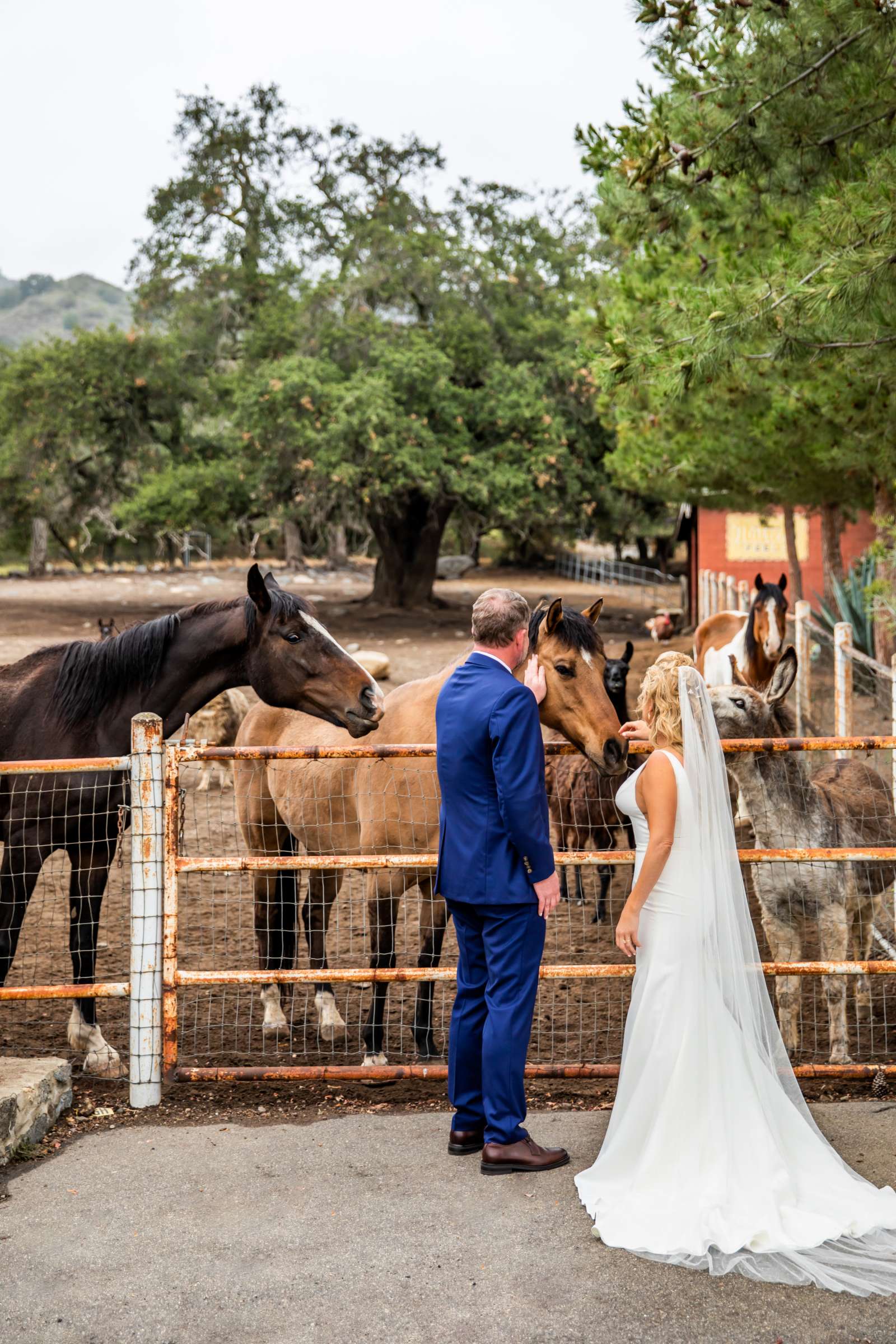 Condors Nest Ranch Wedding, Natascha and Brent Wedding Photo #47 by True Photography
