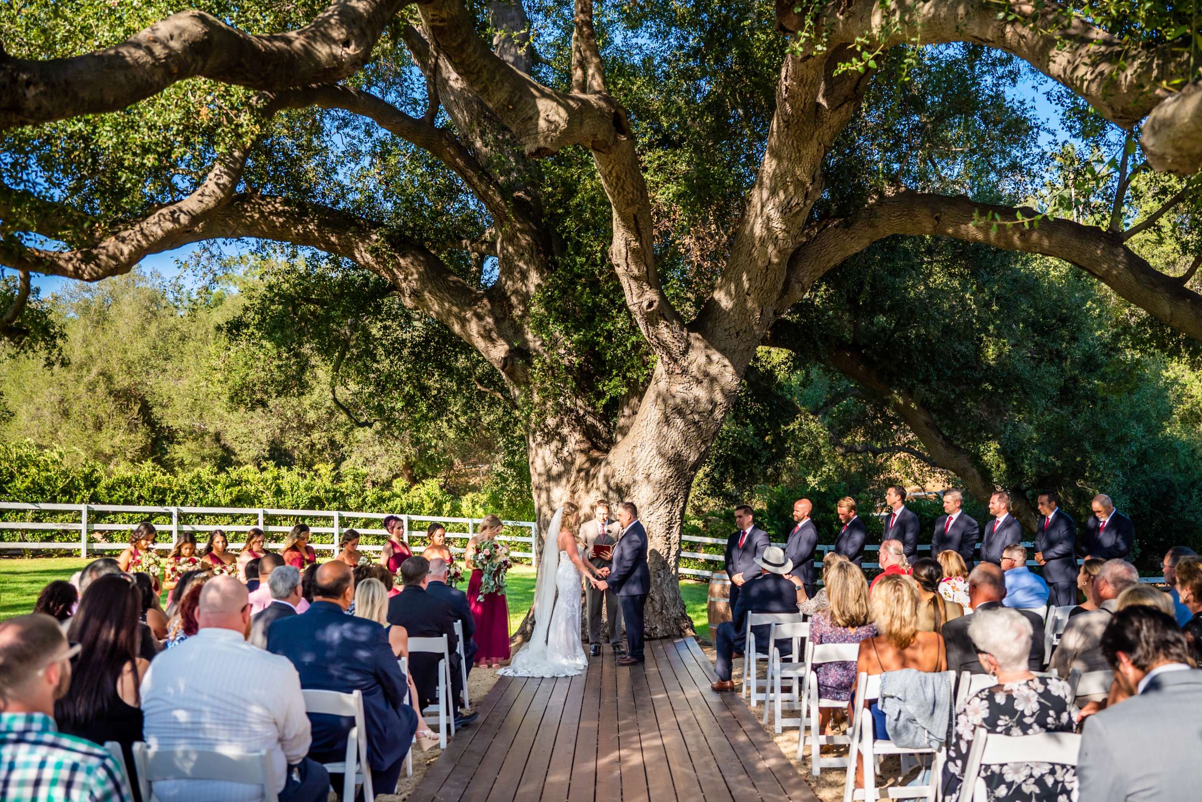 Circle Oak Ranch Weddings Wedding, Victoria and Nate Wedding Photo #58 by True Photography