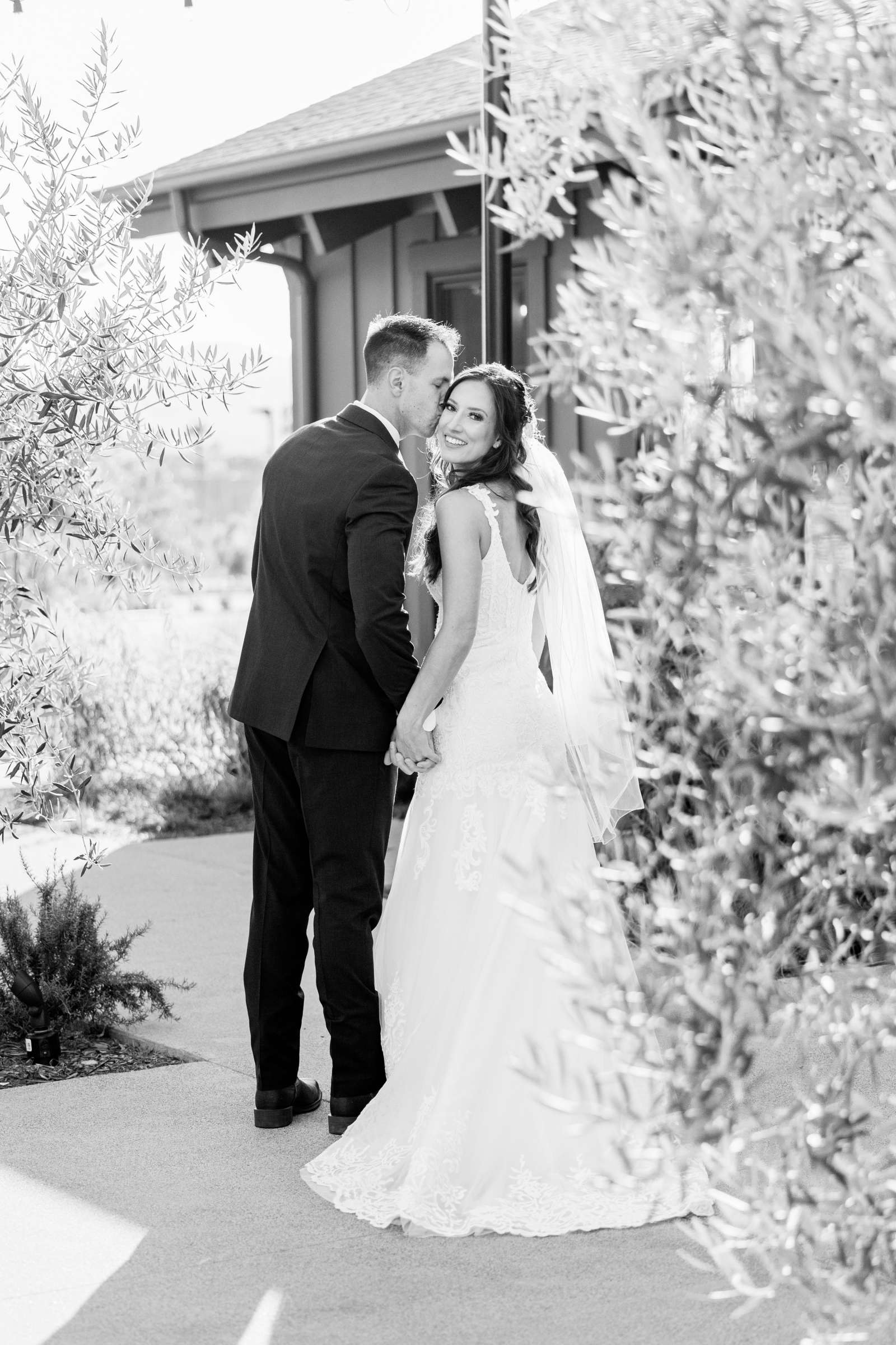 Canopy Grove Wedding, Images 4 Wedding Photo #714206 by True Photography