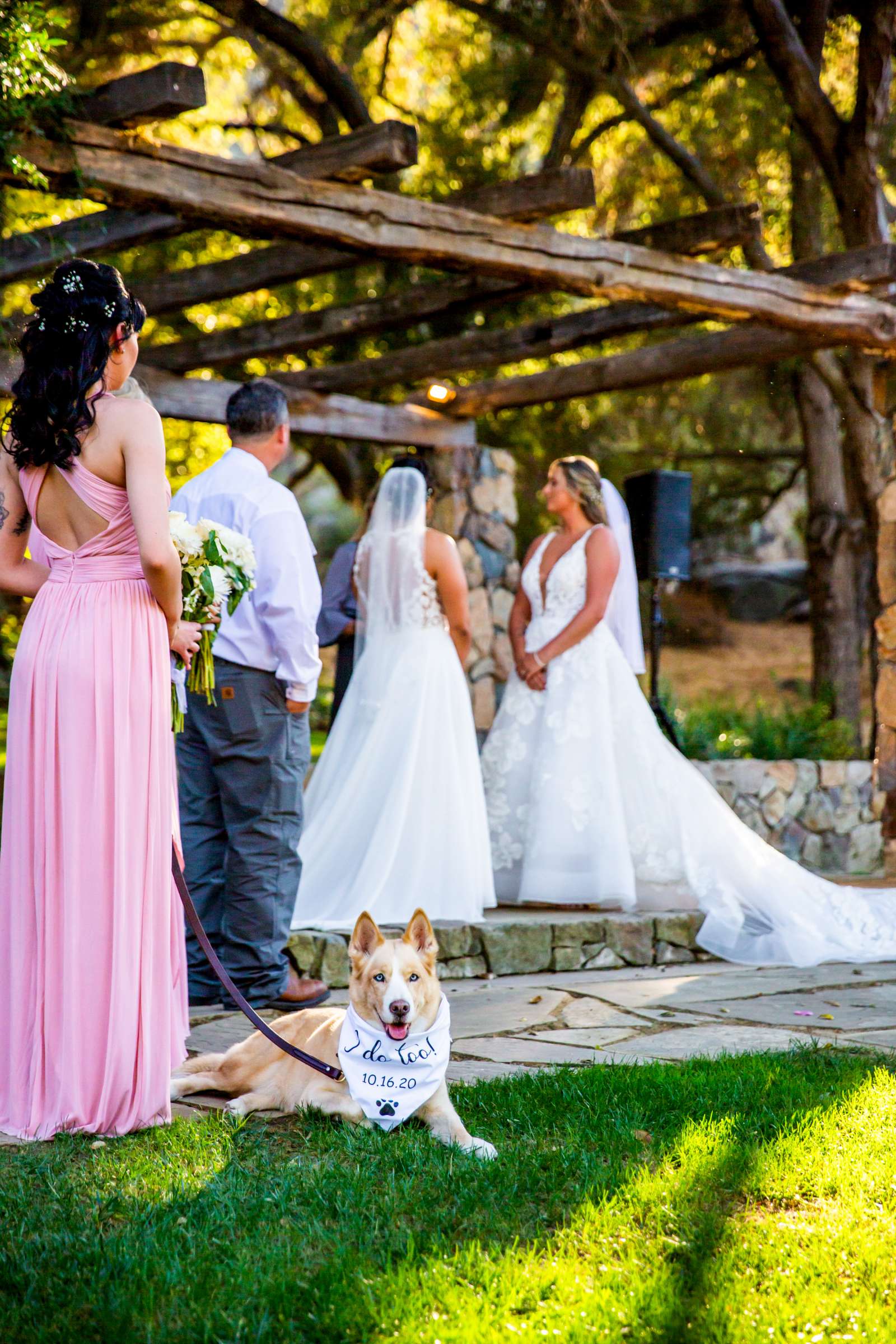 Vista Valley Country Club Wedding, Lisa and Ashley Wedding Photo #97 by True Photography