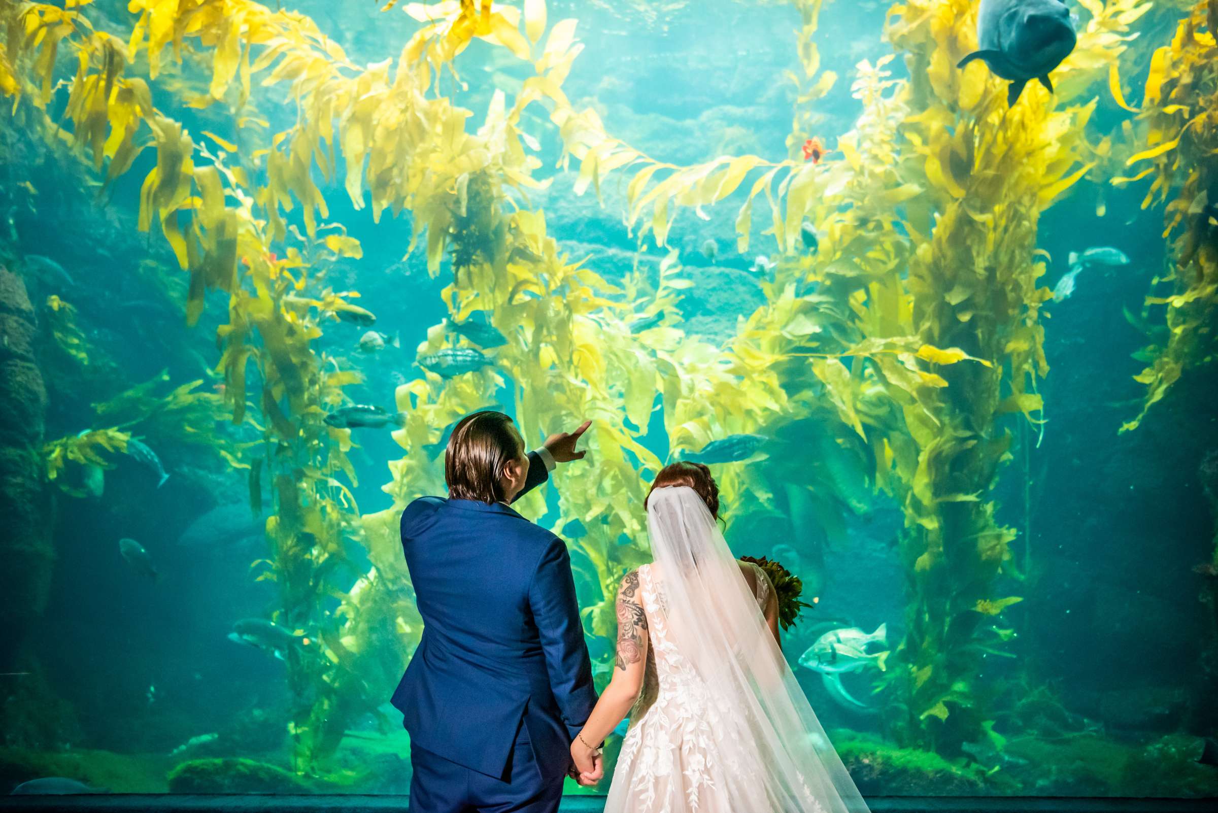 Birch Aquarium at Scripps Wedding, Megan and Travis Wedding Photo #640310 by True Photography