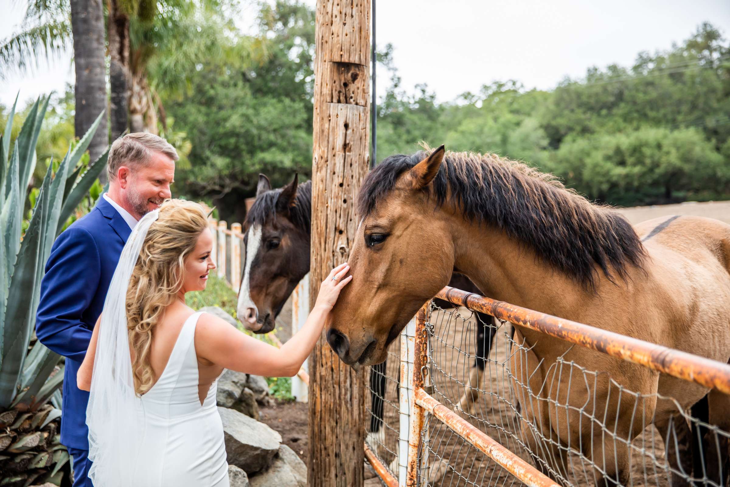 Condors Nest Ranch Wedding, Natascha and Brent Wedding Photo #3 by True Photography