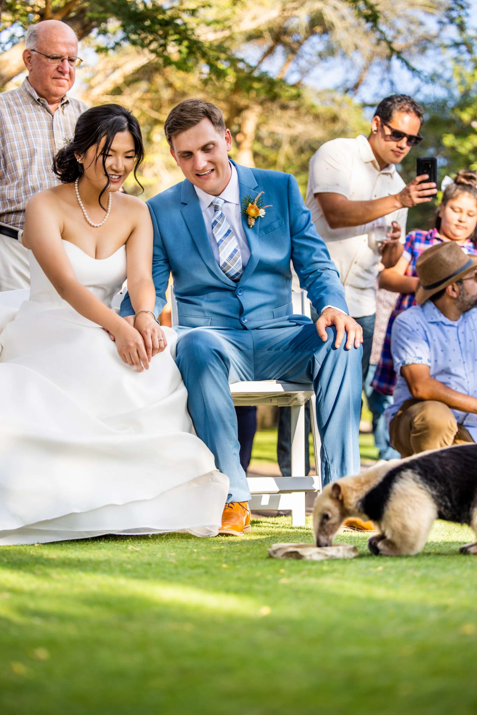 Safari Park Wedding coordinated by Always Flawless Productions, Kanke and Brett Wedding Photo #18 by True Photography