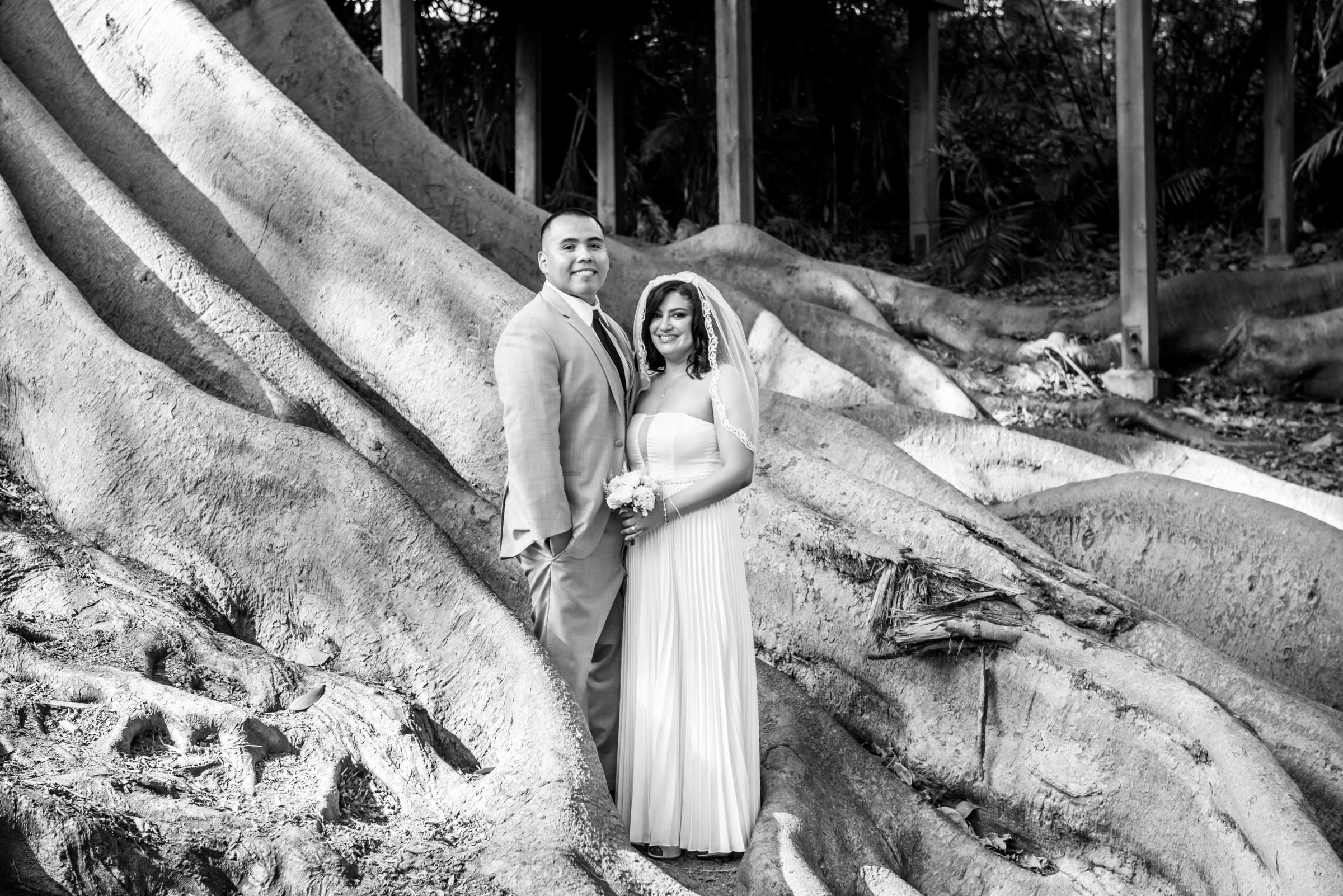 Wedding, Christy and Joe Wedding Photo #613410 by True Photography